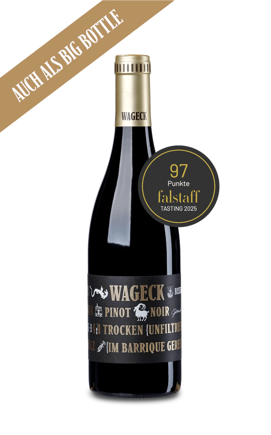 Pinot Noir AM UNTEREN GEISBERG