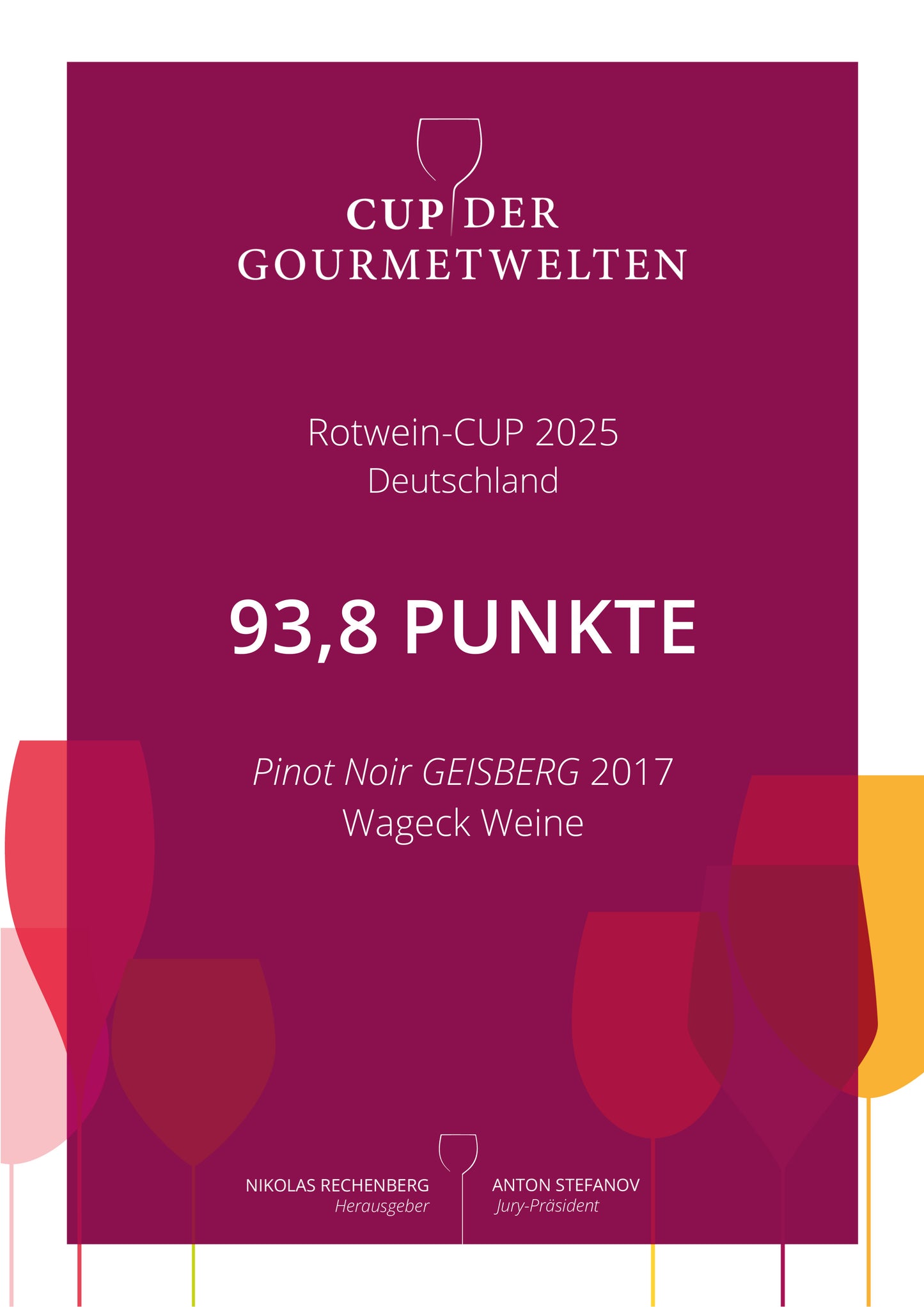 Pinot Noir AM UNTEREN GEISBERG