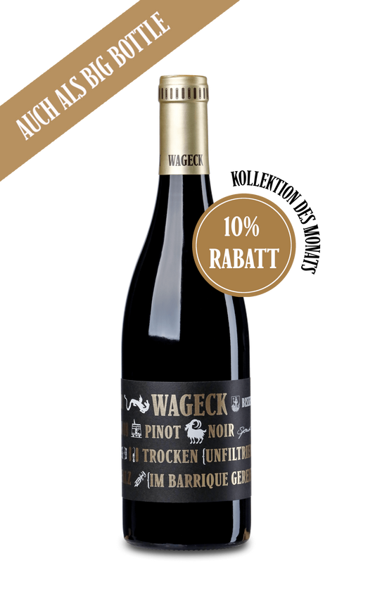 Pinot Noir AM UNTEREN GEISBERG